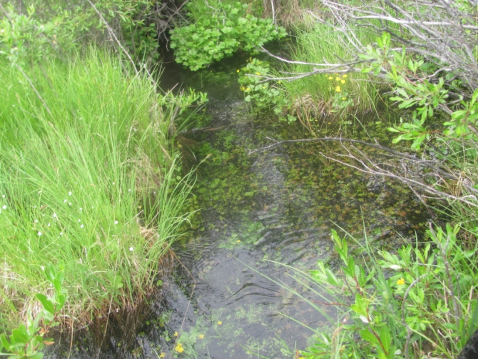 Велопутешествие вокруг Хубсугула