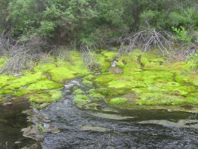 Велопутешествие вокруг Хубсугула