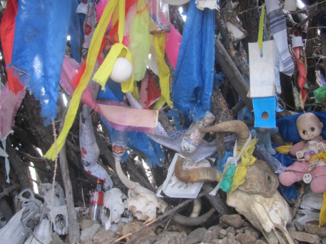 Велопутешествие вокруг Хубсугула