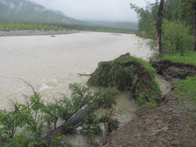 Велопутешествие вокруг Хубсугула