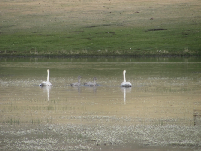 Велопутешествие вокруг Хубсугула