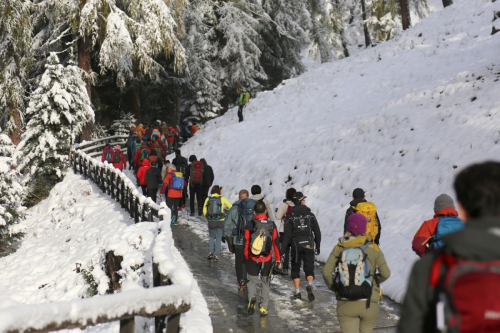 Международный горный саммит: в кадре и за кадром. Плюс викторина - специально для вас! (Альпинизм, ims photo contest 2015, фото, горы, ims, люди, лица, стены, kiku, KIKU Photo Award)