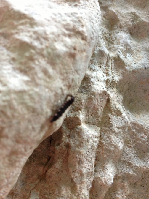 Олимпос. Куда хочется возвращаться вновь и вновь (Скалолазание, скалолазание в турции, Olympos, Cennet, Dershane)