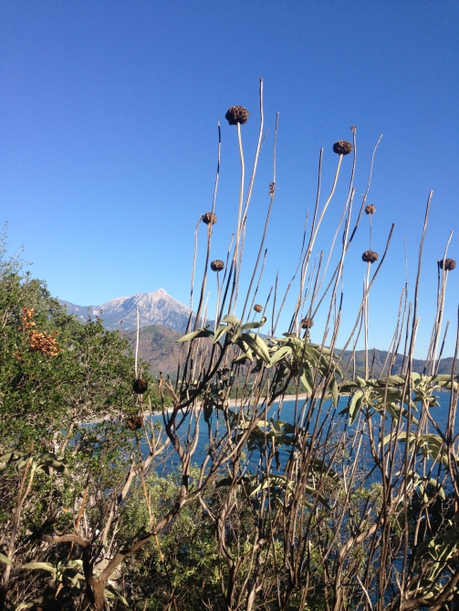 Олимпос. Куда хочется возвращаться вновь и вновь (Скалолазание, скалолазание в турции, Olympos, Cennet, Dershane)