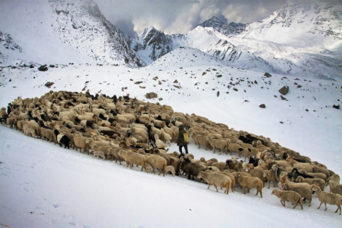 Тесты снаряжения. Отчет по использованию Garmin Epix. (Путешествия, garminrussia, thewhitepeaks)