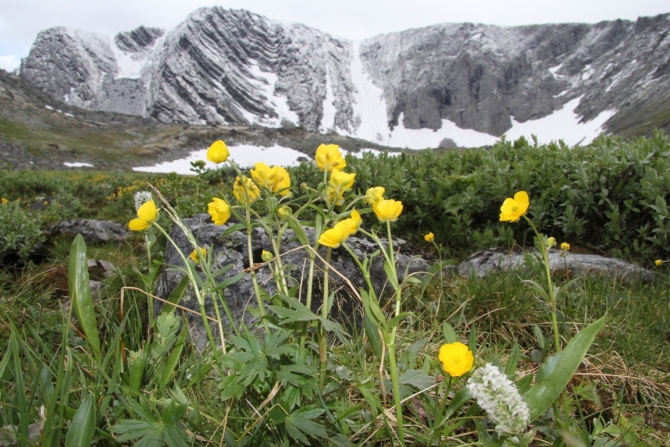 Горное путешествие на Приполярный Урал.27.06.-07.07.15 (Туризм)