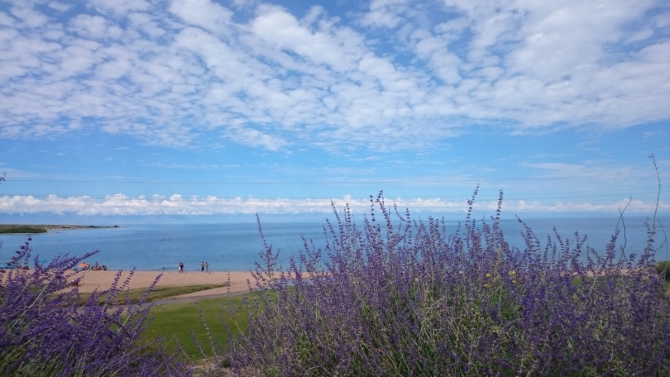 "Два взгляда на одно и тоже альпмероприятие на Центральном Тянь-Шане под пиком Белый" (Альпинизм, альпинизм, отчет, экспедиция, фото, тянь-шань, кокшаал-тоо, Сарычат, Седой Страж, горы)