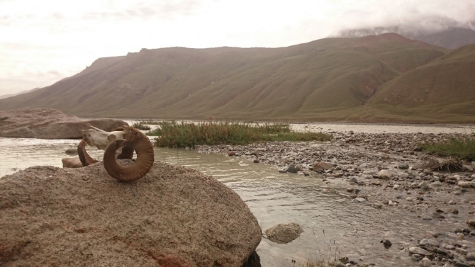 "Два взгляда на одно и тоже альпмероприятие на Центральном Тянь-Шане под пиком Белый" (Альпинизм, альпинизм, отчет, экспедиция, фото, тянь-шань, кокшаал-тоо, Сарычат, Седой Страж, горы)