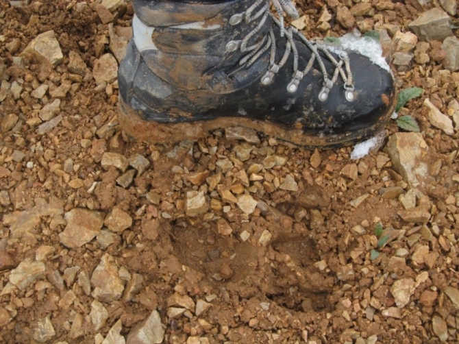 "Два взгляда на одно и тоже альпмероприятие на Центральном Тянь-Шане под пиком Белый" (Альпинизм, альпинизм, отчет, экспедиция, фото, тянь-шань, кокшаал-тоо, Сарычат, Седой Страж, горы)