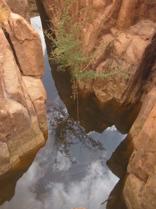 Альпинизм на Синае. Альпиниада "Осенний Марафон". (египет, синай, дахаб, Санта Катерина.)