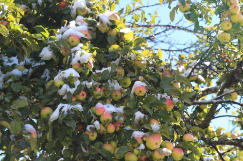 В Грузию и Армению всей семьей. Фотоальбом. (Путешествия)