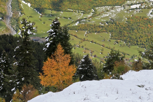 В Грузию и Армению всей семьей. Фотоальбом. (Путешествия)