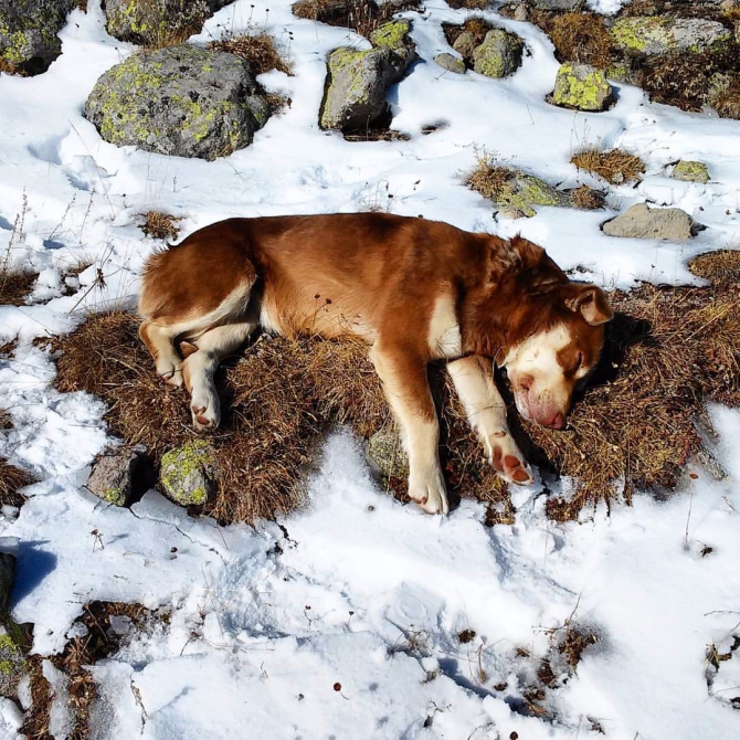 Казбек - 2015. Морозно. (Альпинизм)