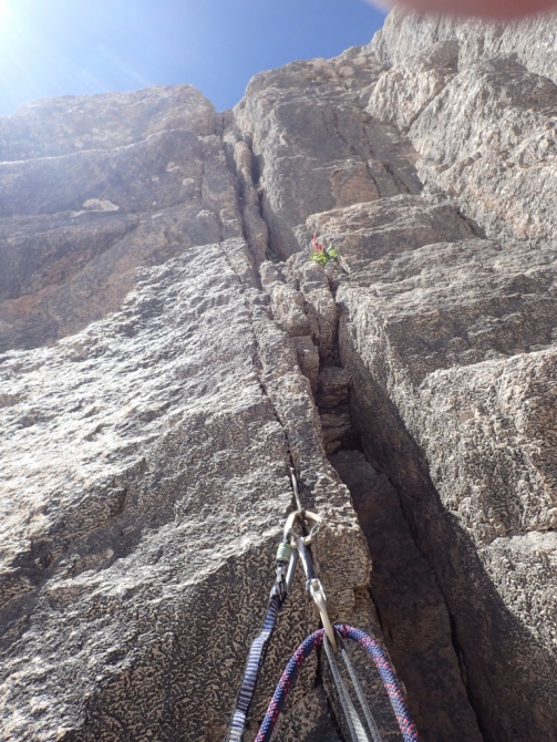 Седой Страж - гора, на которой побывали, как это было. (Альпинизм, пик белый, экспедиция, нилов, головченко, григорьев, лето, горы на которых никто не бывал, вернулись, дневник, два взгляда на одно и тоже альпмероприятие)