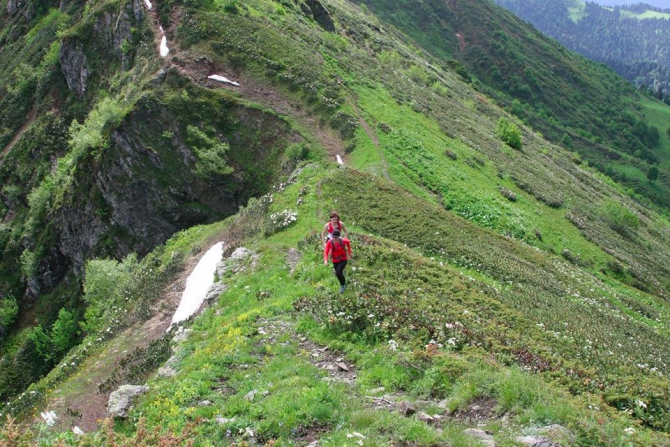 Стоя на развилке. Пути развития скайраннинга в России (колчанов, redfox elbrus race, isf, ассоциация скайраннинга россии)