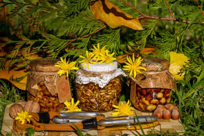 Некоммерческий проект "Скалодром", второй заход (Скалолазание, взаимопомощь, Турклуб Вершина)