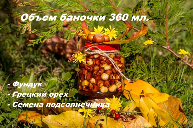 Некоммерческий проект "Скалодром", второй заход (Скалолазание, взаимопомощь, Турклуб Вершина)