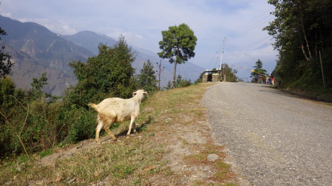 Музыка гор, Непал 2015 (Альпинизм, пик Яла, Макалу Экстрем, Морнева Оксана, чатур таманг)