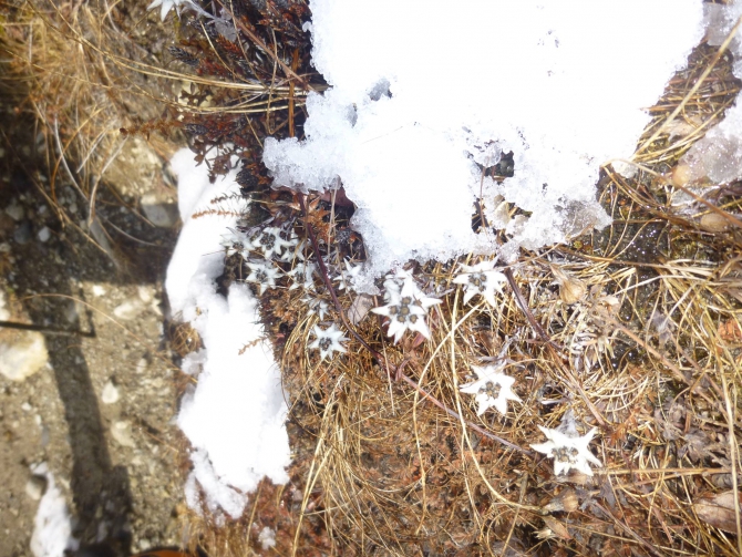 Музыка гор, Непал 2015 (Альпинизм, пик Яла, Макалу Экстрем, Морнева Оксана, чатур таманг)