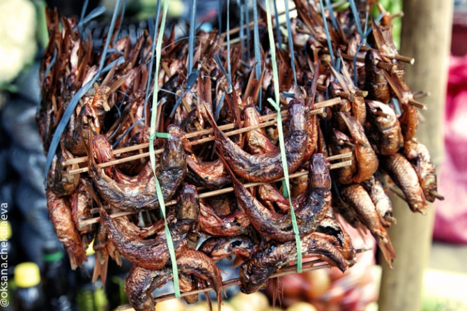 Гималаи Flying Log. Часть1. Покхара. (Воздух, парапланы, непал, путешествие в непал, полеты, горы летом)