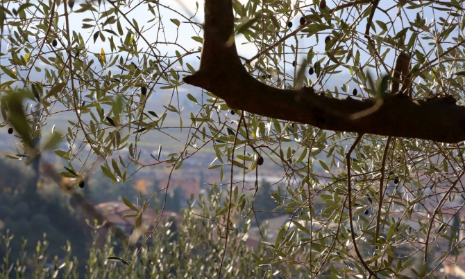 Немножко солнца с берегов Гарды.. (Скалолазание)