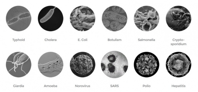 Обзор производителей средств для очистки воды в полевых условиях (Путешествия, снаряжение, питьевая вода, фильтры)
