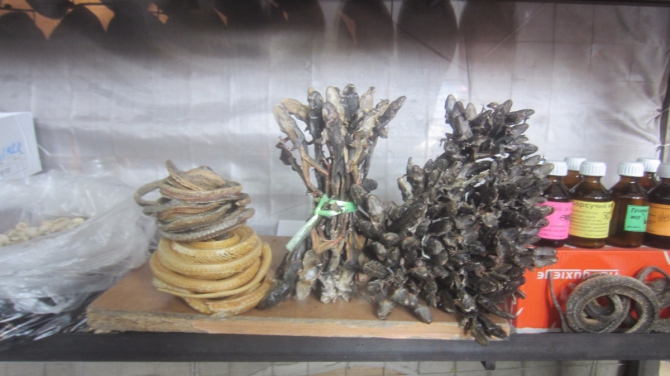 Восхождение на Хан-Тенгри (Горный туризм)