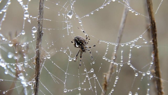 Карты - на стол! В них перспектива района. (Мультигонки)