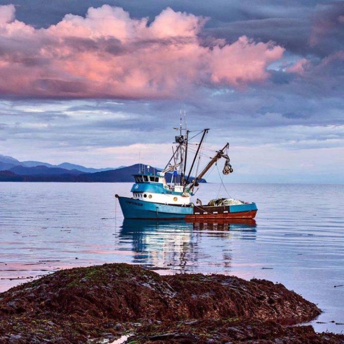 Аляска.Обратная сторона фрирайда. Чаcть 1. (фриирайд, рыбалка в океане, жизнь на Аляске, whitepeaks_ru, оксана чекулаева)