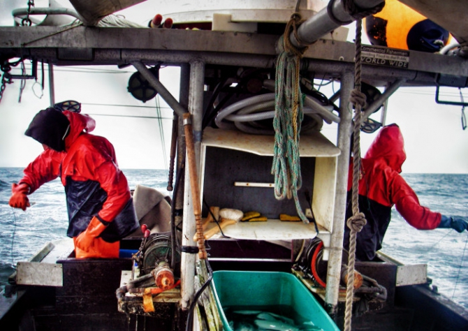 Аляска.Обратная сторона фрирайда. Чаcть 1. (фриирайд, рыбалка в океане, жизнь на Аляске, whitepeaks_ru, оксана чекулаева)