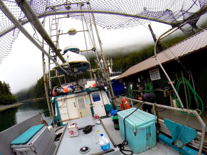 Аляска.Обратная сторона фрирайда. Чаcть 1. (фриирайд, рыбалка в океане, жизнь на Аляске, whitepeaks_ru, оксана чекулаева)