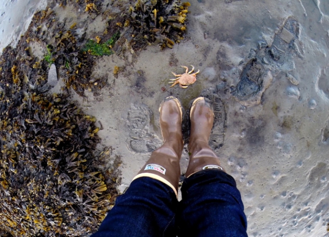 Аляска.Обратная сторона фрирайда. Чаcть 1. (фриирайд, рыбалка в океане, жизнь на Аляске, whitepeaks_ru, оксана чекулаева)