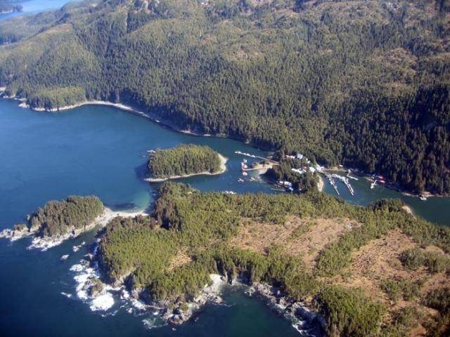 Аляска.Обратная сторона фрирайда. Чаcть 1. (фриирайд, рыбалка в океане, жизнь на Аляске, whitepeaks_ru, оксана чекулаева)