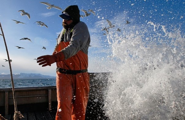 Аляска.Обратная сторона фрирайда. Чаcть 1. (фриирайд, рыбалка в океане, жизнь на Аляске, whitepeaks_ru, оксана чекулаева)