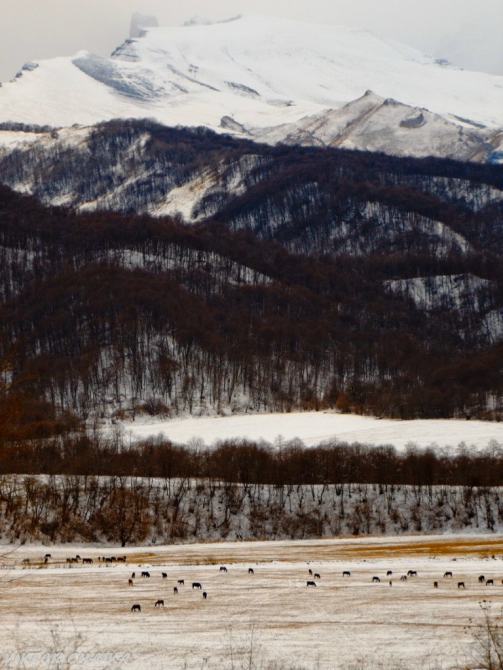 Тайна Голубого Озера (Горный туризм, голубые озера, кбр, кабардино балкария, Голубое озеро, кель-кечхен, кель-кетчхен, церик-кель, черек-кель, виктор чайка, картины)