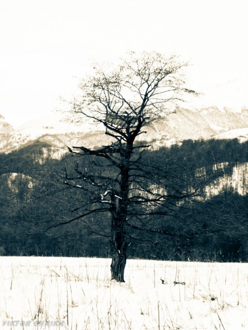 Тайна Голубого Озера (Горный туризм, голубые озера, кбр, кабардино балкария, Голубое озеро, кель-кечхен, кель-кетчхен, церик-кель, черек-кель, виктор чайка, картины)