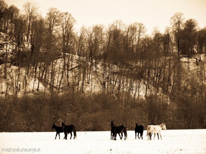 Тайна Голубого Озера (Горный туризм, голубые озера, кбр, кабардино балкария, Голубое озеро, кель-кечхен, кель-кетчхен, церик-кель, черек-кель, виктор чайка, картины)