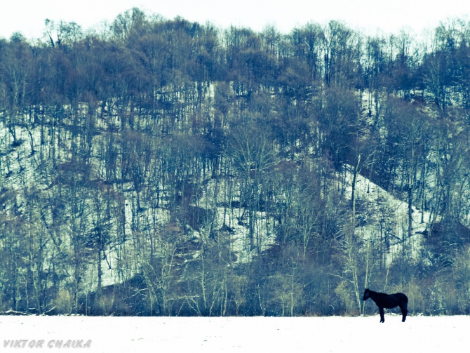 Тайна Голубого Озера (Горный туризм, голубые озера, кбр, кабардино балкария, Голубое озеро, кель-кечхен, кель-кетчхен, церик-кель, черек-кель, виктор чайка, картины)