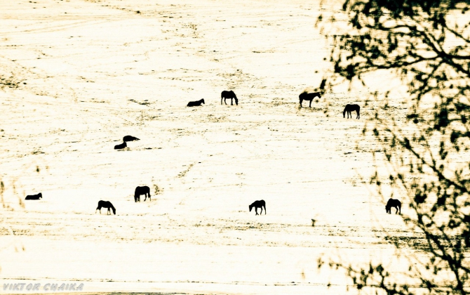 Тайна Голубого Озера (Горный туризм, голубые озера, кбр, кабардино балкария, Голубое озеро, кель-кечхен, кель-кетчхен, церик-кель, черек-кель, виктор чайка, картины)