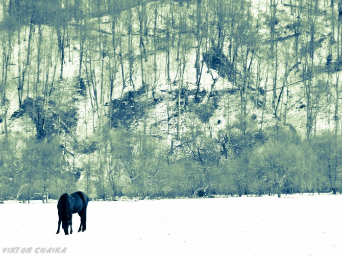 Тайна Голубого Озера (Горный туризм, голубые озера, кбр, кабардино балкария, Голубое озеро, кель-кечхен, кель-кетчхен, церик-кель, черек-кель, виктор чайка, картины)