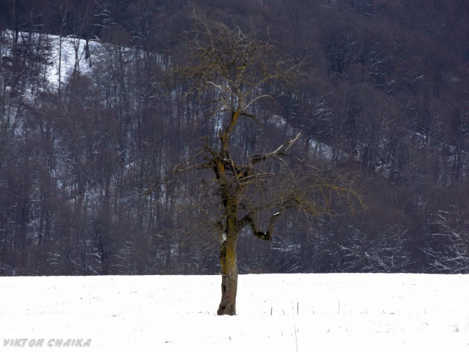 Тайна Голубого Озера (Горный туризм, голубые озера, кбр, кабардино балкария, Голубое озеро, кель-кечхен, кель-кетчхен, церик-кель, черек-кель, виктор чайка, картины)