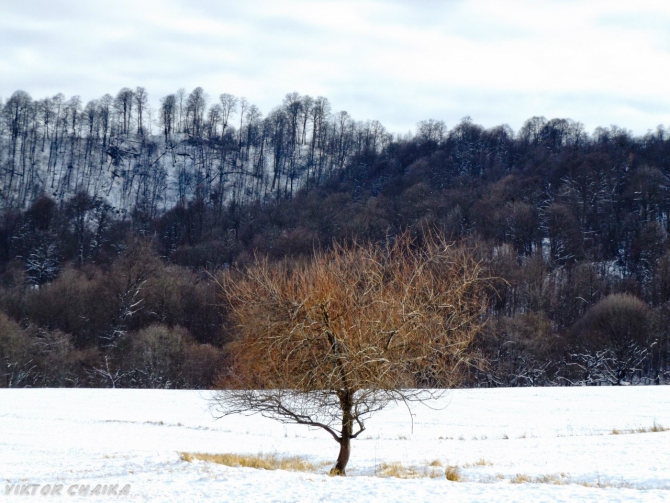 Тайна Голубого Озера (Горный туризм, голубые озера, кбр, кабардино балкария, Голубое озеро, кель-кечхен, кель-кетчхен, церик-кель, черек-кель, виктор чайка, картины)