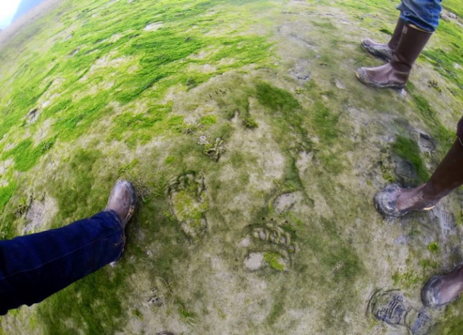 Аляска.Обратная сторона фрирайда. Часть 2 (Горные лыжи/Сноуборд, океан, jeremy jones, оксана чекулаева, further, whitepeaks_ru, жизнь на Аляске, ryland bell)