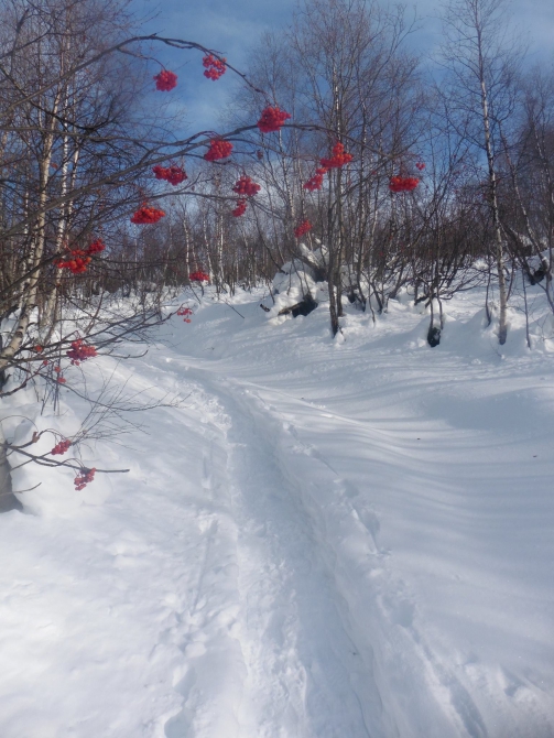 Моя снежная Грузия. Часть 2. Горные лыжи в Сванетии (Горные лыжи/Сноуборд, местия, хацвали, тетнульди, сванетия, Ушгули, вероника сорокина)