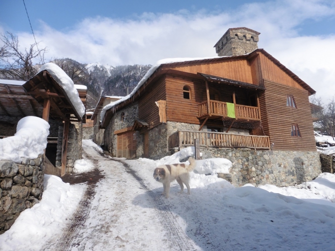 Моя снежная Грузия. Часть 2. Горные лыжи в Сванетии (Горные лыжи/Сноуборд, местия, хацвали, тетнульди, сванетия, Ушгули, вероника сорокина)