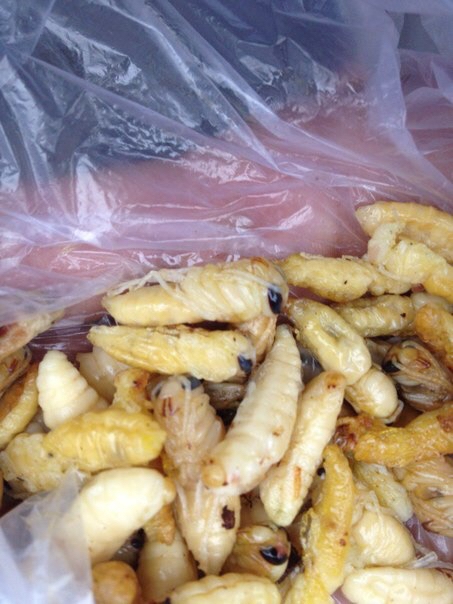 Китай 2015. Фото, видео, рассказ. (BASE, base, base jumping, путешествие, прыжки с парашютом, мост #redfox #redfoxoutdoor #planetasportstore #мирприключенийначинаетсяздесь #julbo #эмпрана #gorillaenergy #wout #hagobase)