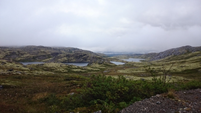 Одиночный поход на Рыбачий летом 2015 (Вело)