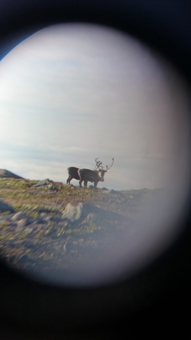 Одиночный поход на Рыбачий летом 2015 (Вело)