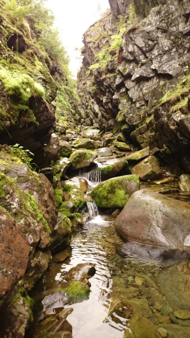 Одиночный поход на Рыбачий летом 2015 (Вело)