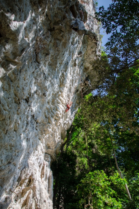 Цели и основы для создания программы тренировки выносливости в спортивном скалолазании. (Скалолазание)